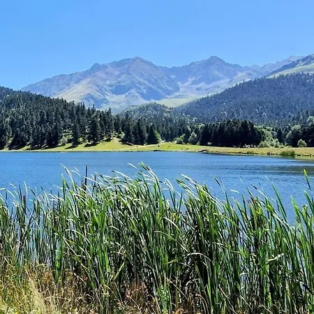 Au Petit Payolle - Type Sur Le De Payolle Apartment *
