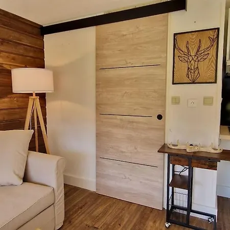 Apartment Au Petit Payolle - Type Sur Le De Payolle *