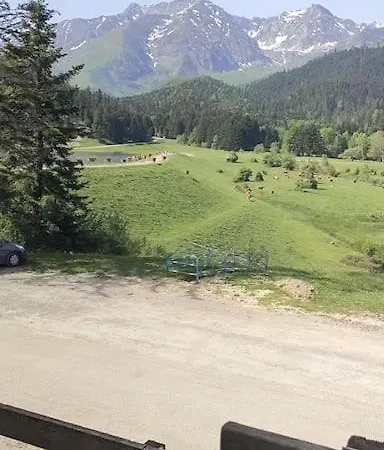 Au Petit Payolle - Type Sur Le De Payolle Apartment