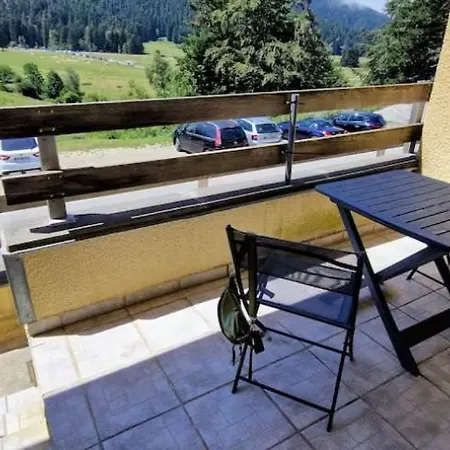 Au Petit Payolle - Type Sur Le De Payolle Apartment *