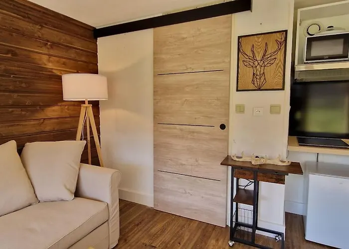 Appartement Au Petit Payolle - Type Sur Le De Payolle *