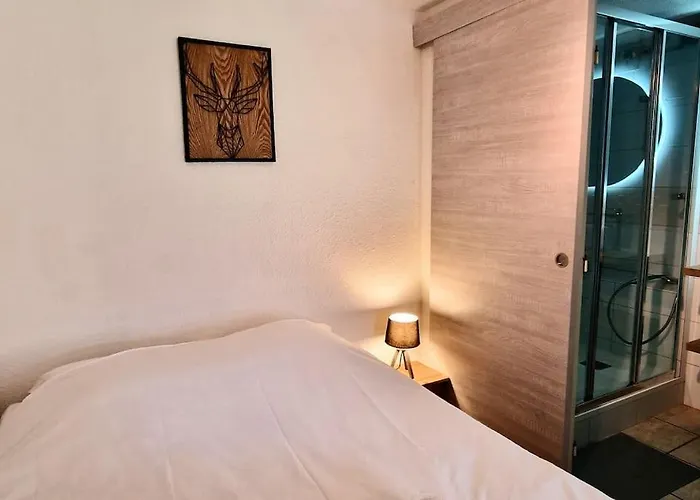 Au Petit Payolle - Type Sur Le De Payolle Appartement *