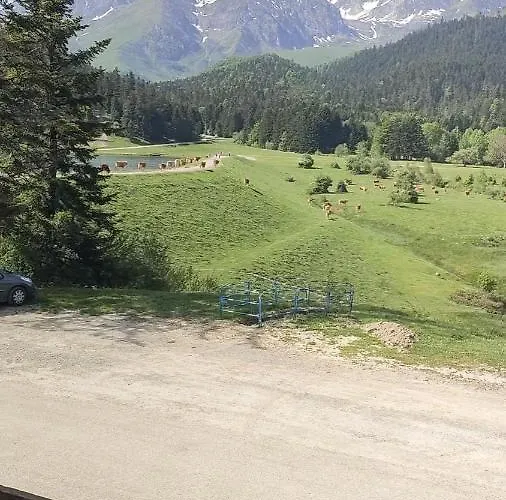 Au Petit Payolle - Type Sur Le De Payolle Apartment Campan