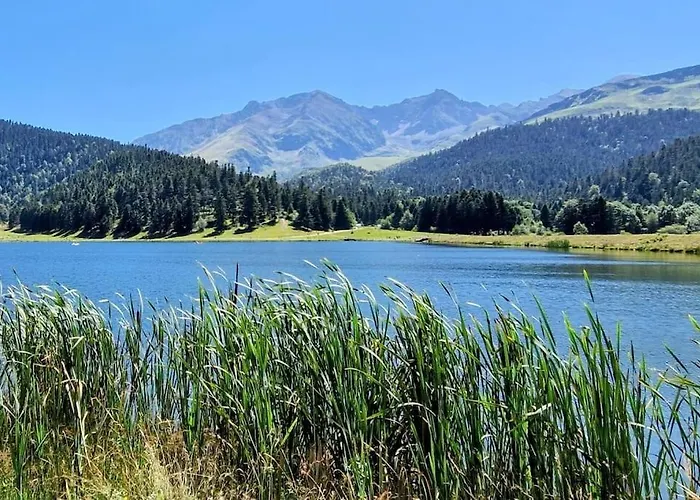 Au Petit Payolle - Type Sur Le De Payolle Apartment *