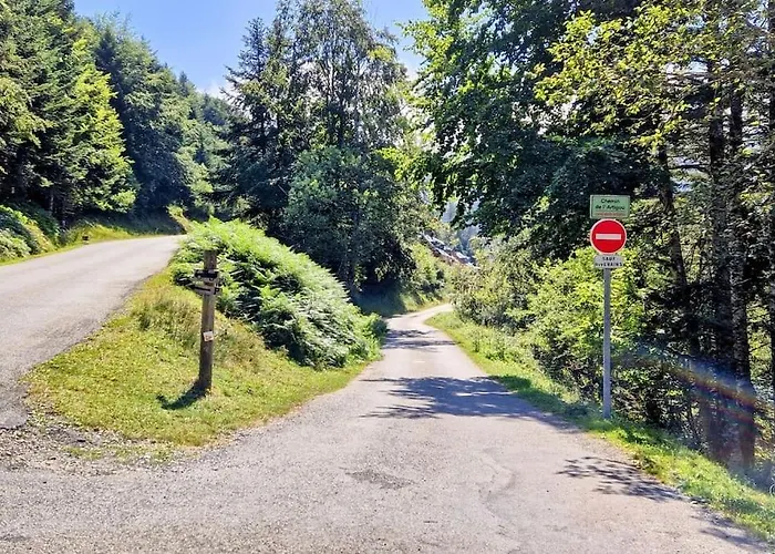 Au Petit Payolle - Type Sur Le De Payolle Apartment