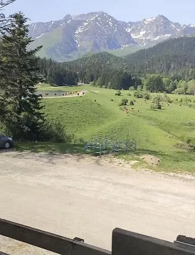 Au Petit Payolle - Type Sur Le De Payolle Apartment