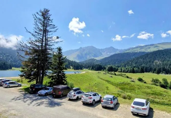 Apartment Au Petit Payolle - Type Sur Le De Payolle Campan